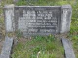 image of grave number 303401